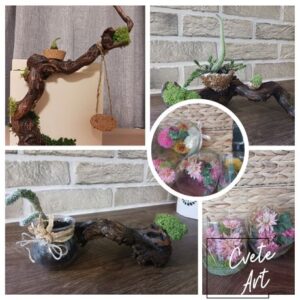 Декори от природата