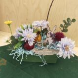 IMG_20260319_093011787