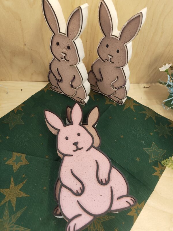 IMG_20260319_093623208